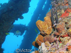 a good day in crash boat, nice visibility!!!!! by Victor J. Lasanta 